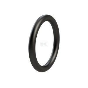 O-RING 31.3 A