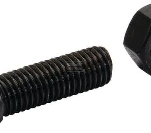 Surub plug cap conic cu piulita C2F 1245C2FP025