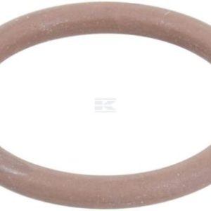 ORING 17282081