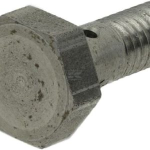 Surub tubular carburant M6x1,00