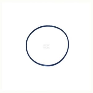 O-RING 30.2 M