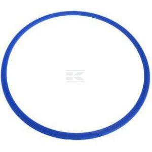 O-RING 30.2 L