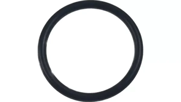 O-RING 25.3 I 0006335310