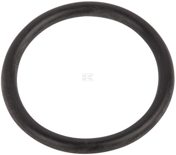 O-ring 14463680