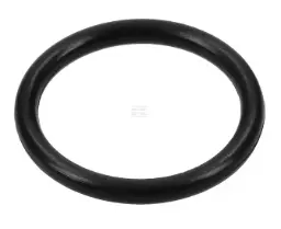O-RING 30.5 F 14472880,71817021=123/70933325