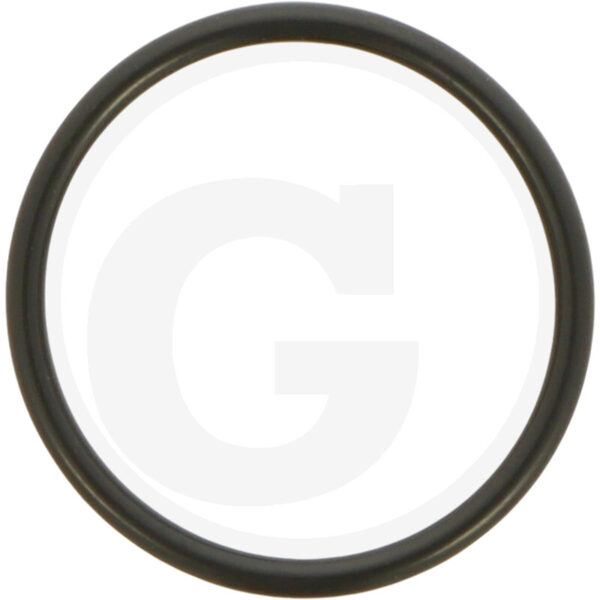 O-RING 30.2h 157364101X1