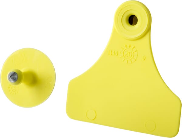 Crotalii JUF - BTM 25 seturi 61614001