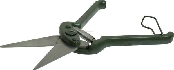 FOARFECA COPITE VV01639