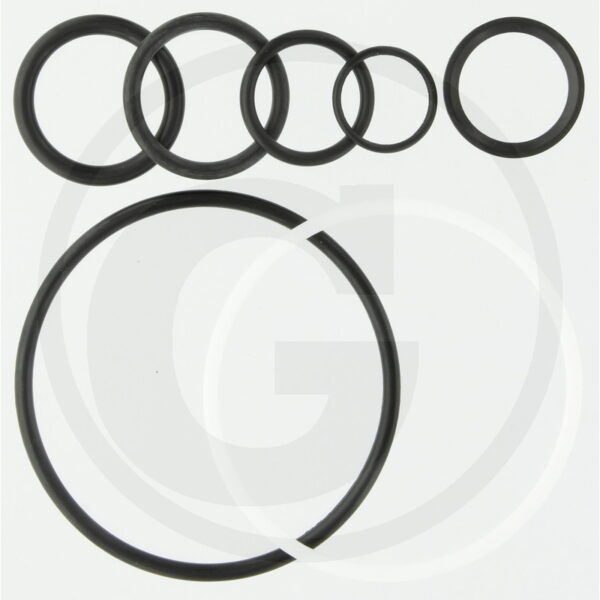 CLAAS O-Ring  195000008386740AG