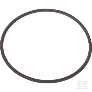 O-RING 14465681