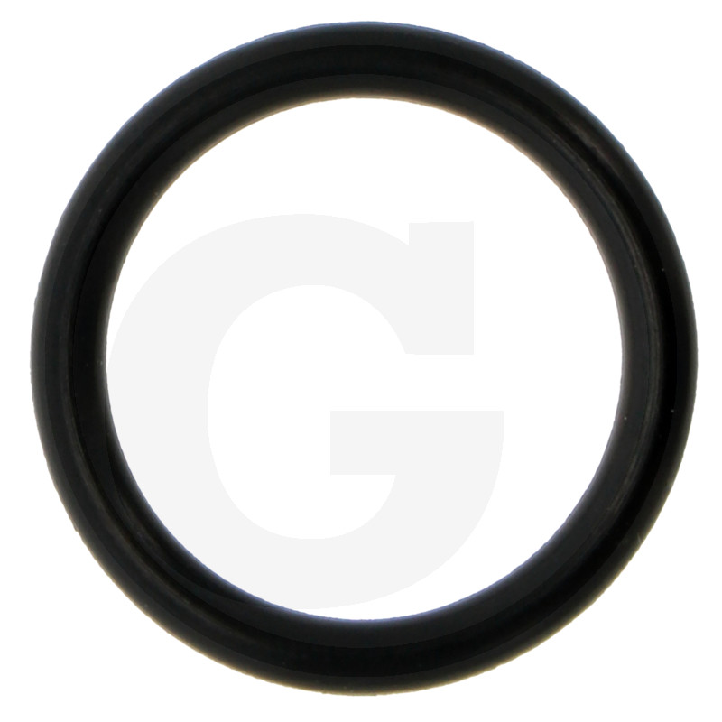 ORING 30.2 M 15406928