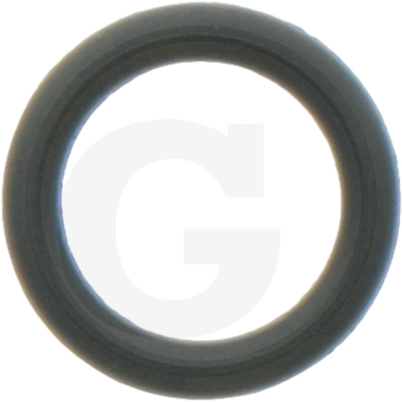 O-RING 1573010471X1