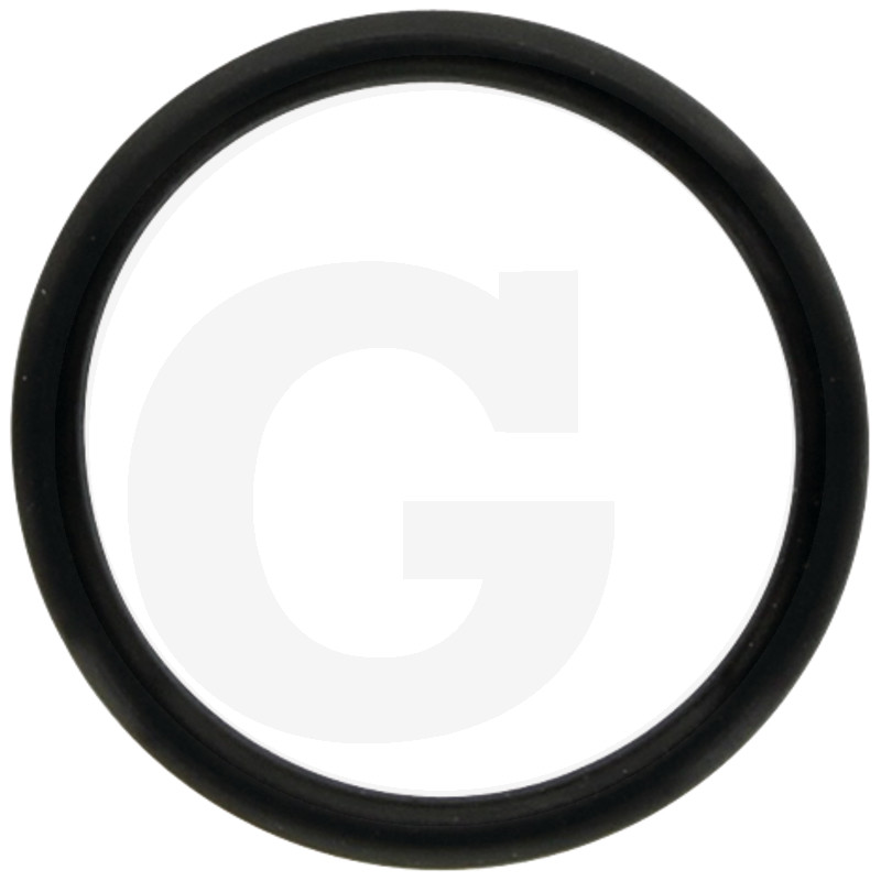 O-RING