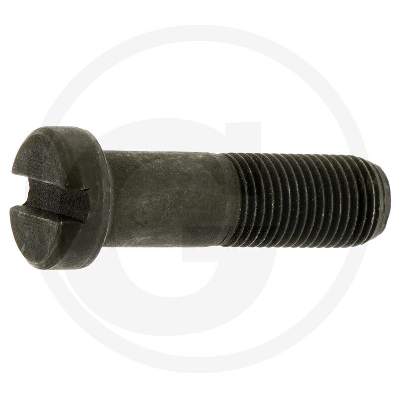 SURUB BOLT 157825776M1