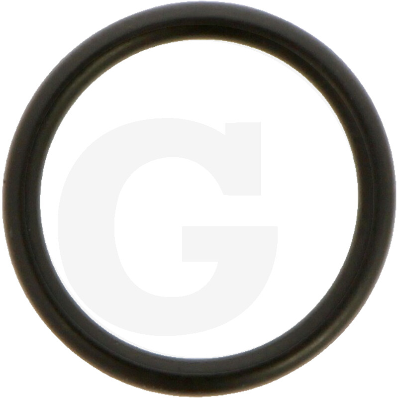 ORING 30.2 O 164V39952900