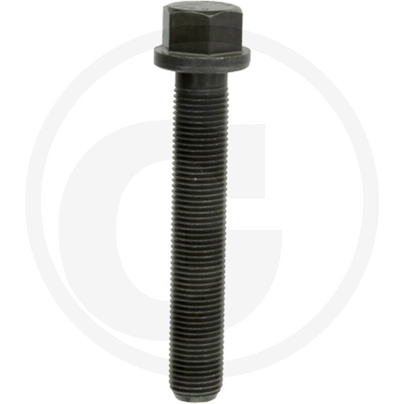 SURUB FENDT 165F119200310060