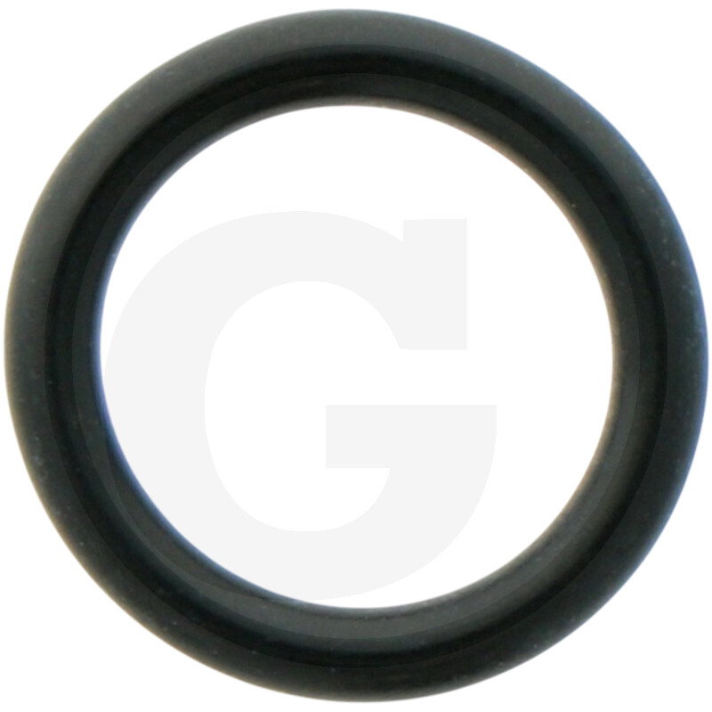 ORING 165X548833601000