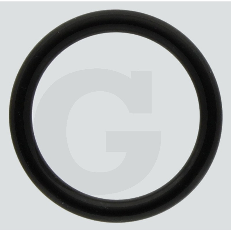 O-RING 165X548854466000