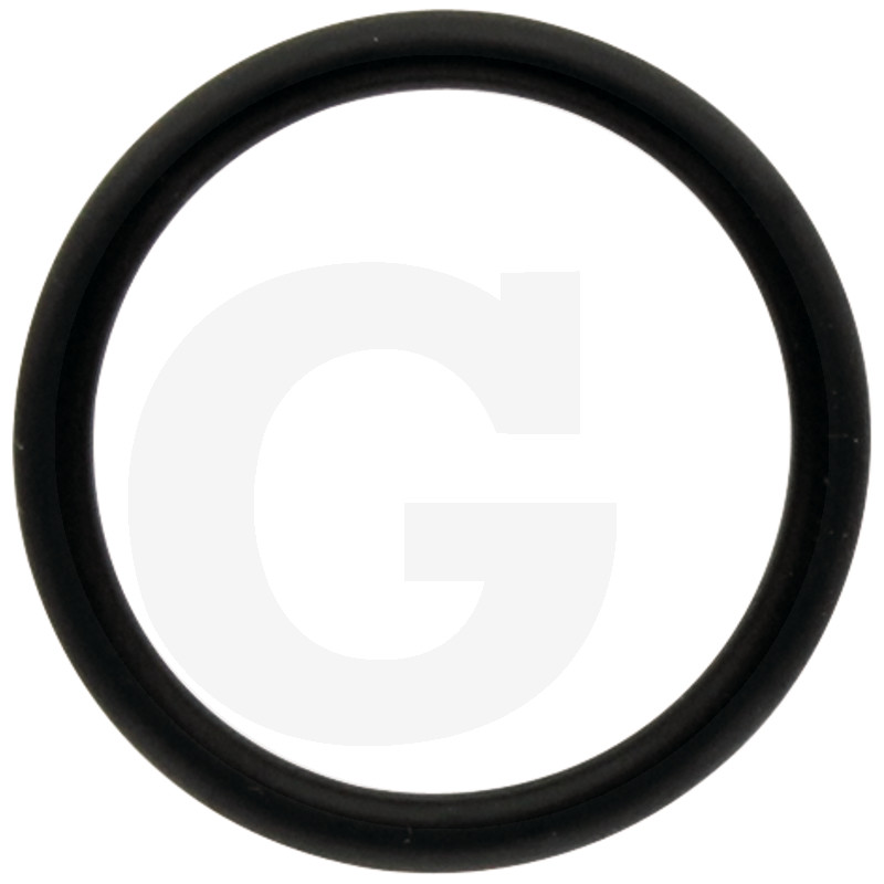 ORING 30.2 O 165X548862866000