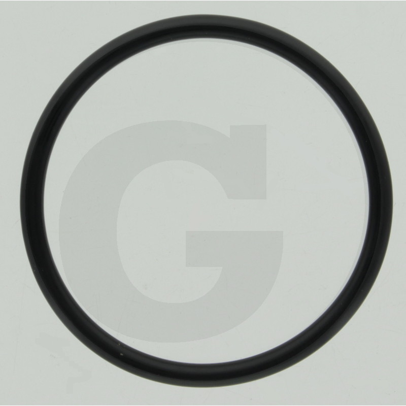 O-RING 165X548923500000