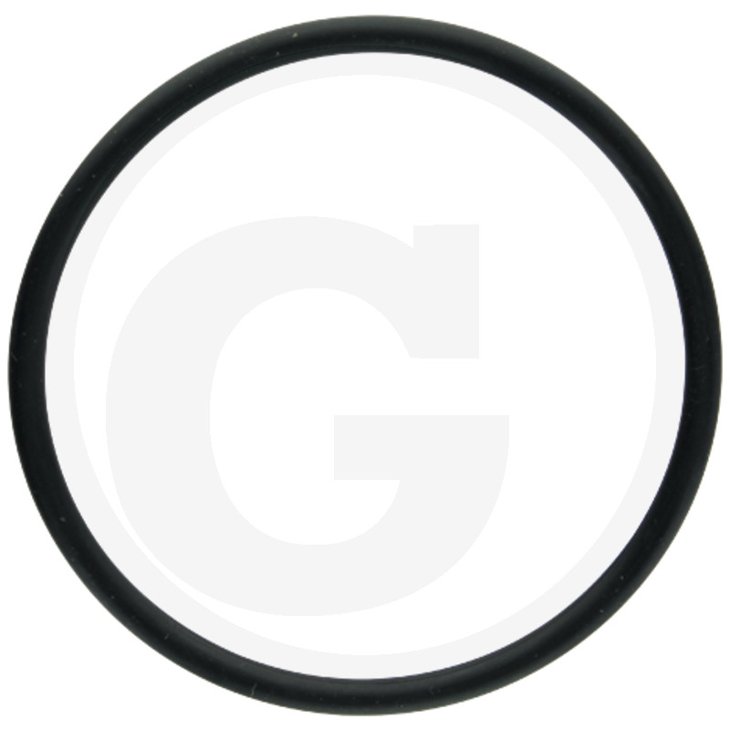 ORING 30.2 N 165X548926801000