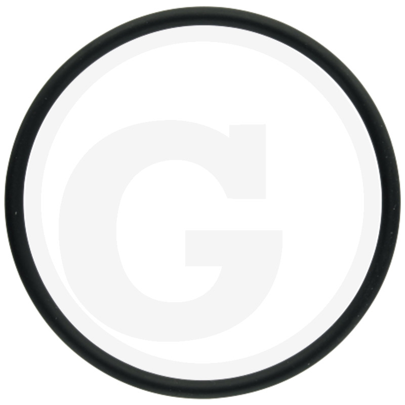 ORING 30.2 N 165X548932466000