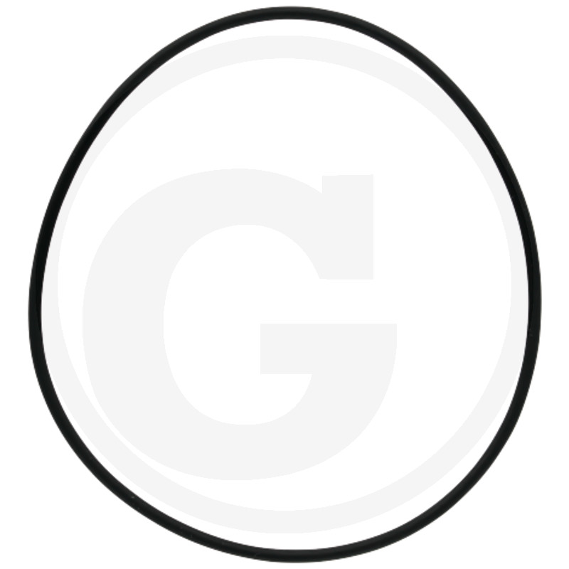 ORING 31.4 A 165X548973566000