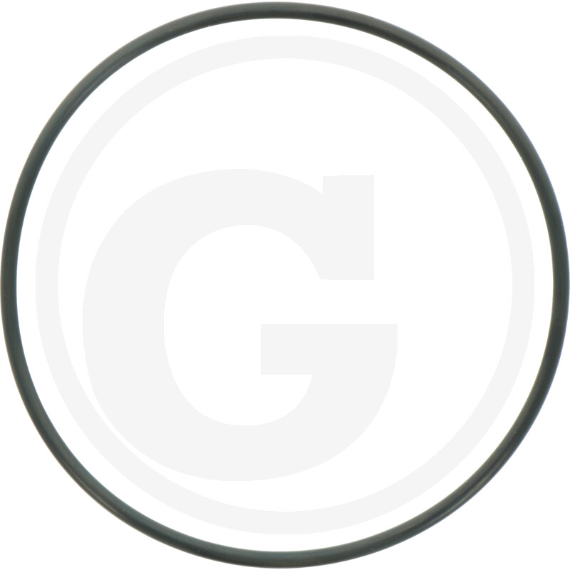 O-RING 165X548974066000