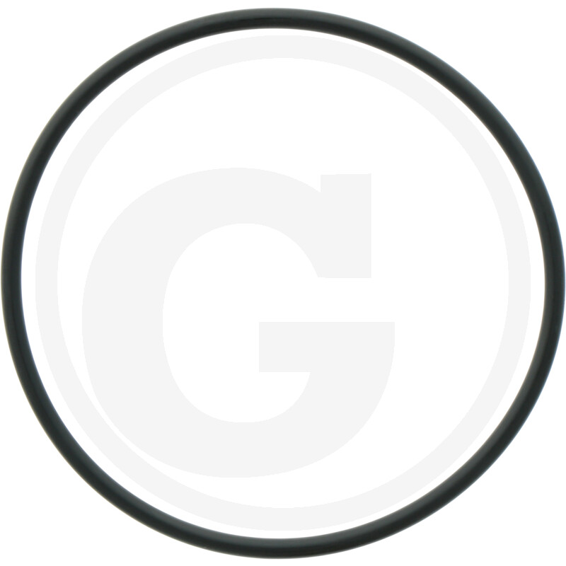 ORING 165X548977501000