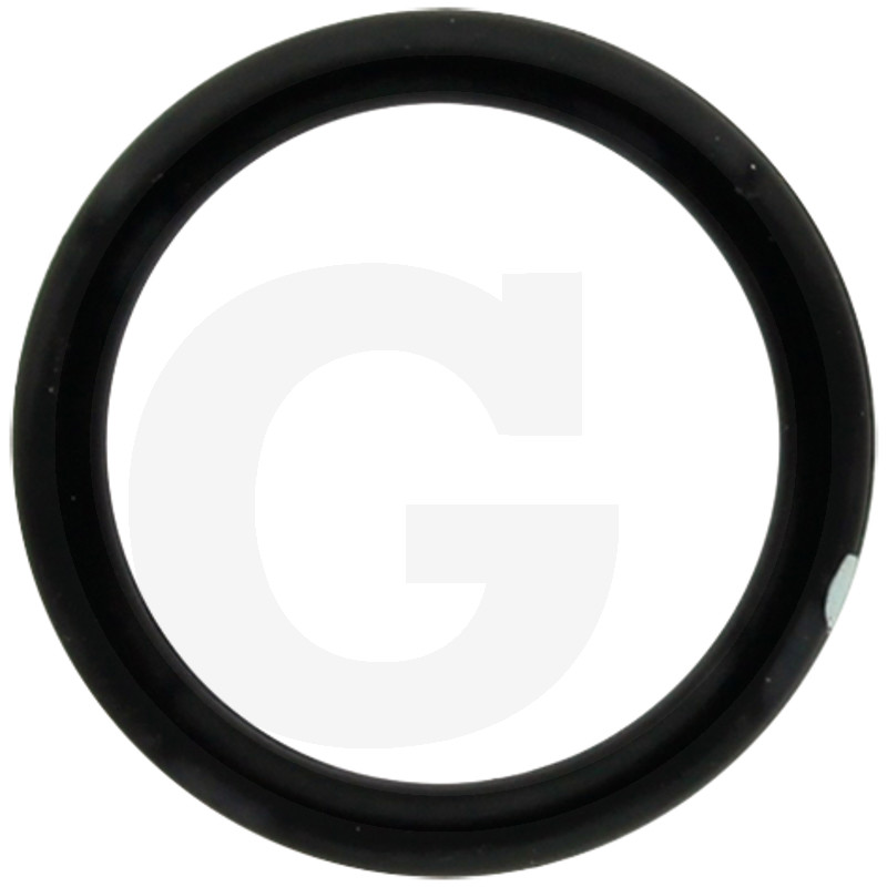 ORING 30.2 G 17586977728