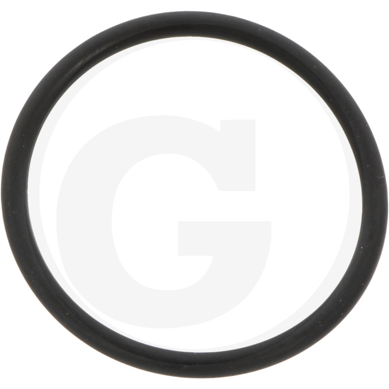 Oring 190190271