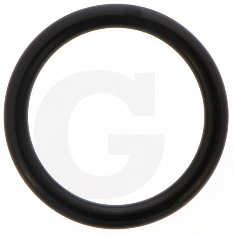 O-RING 195000002119230
