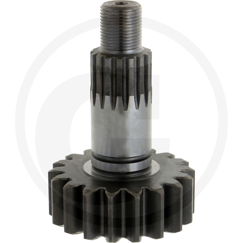 PINION 195000009333250