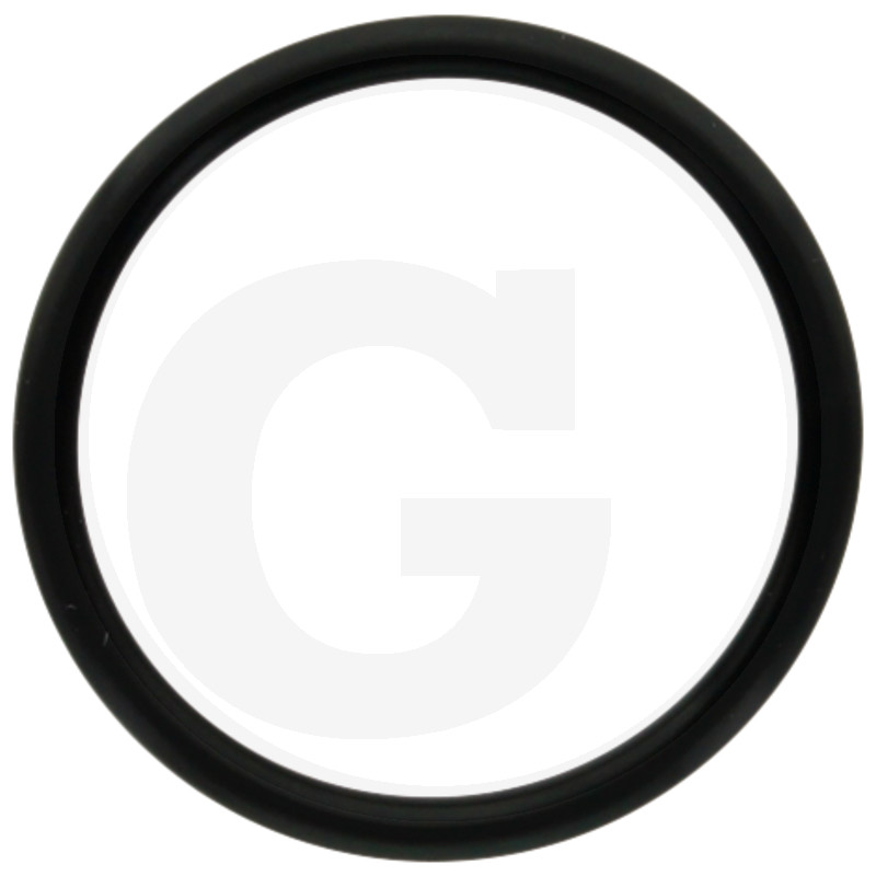 ORING 195000009396870