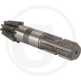 PINION 195000009553781