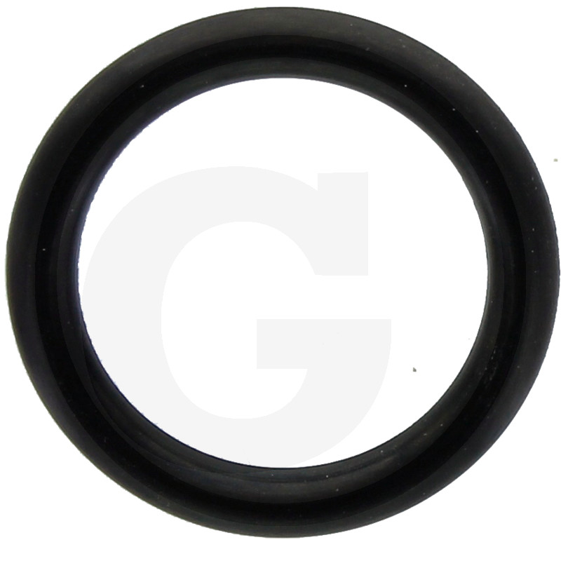 O-RING 197006005000234