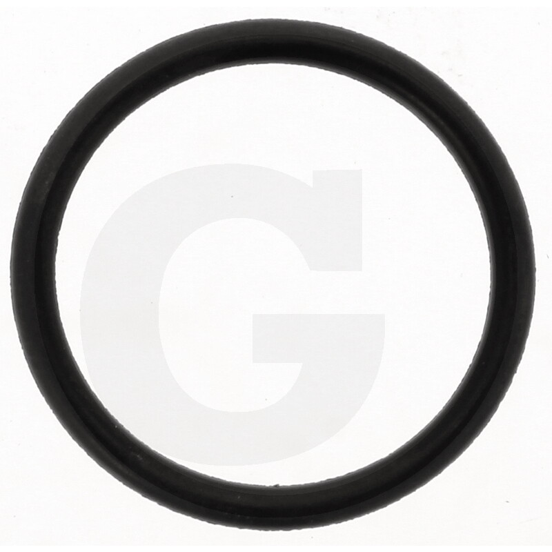 o- ring 197006005019255