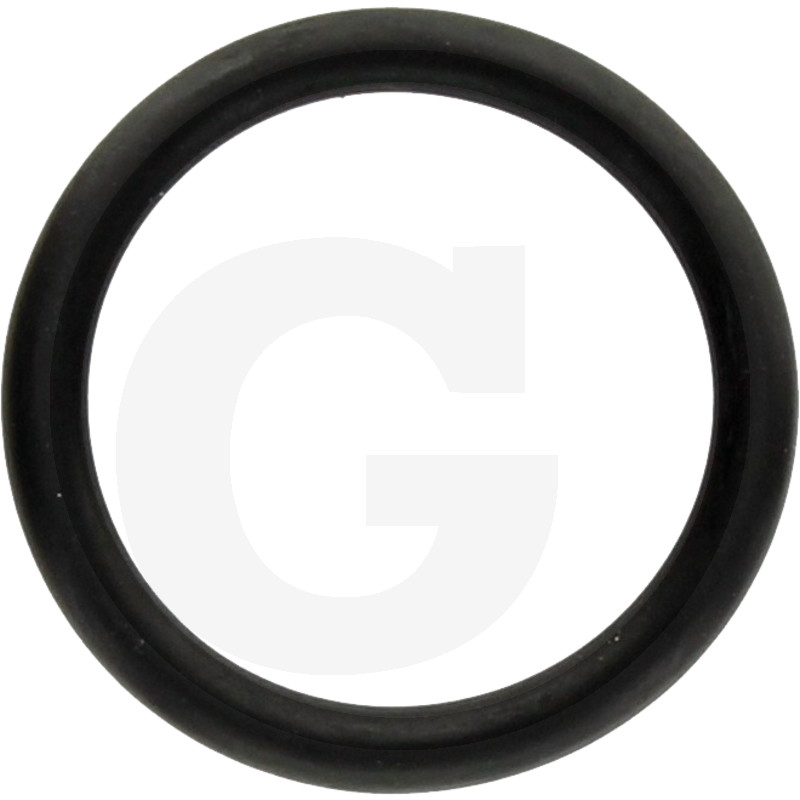 O-RING 197006005030694