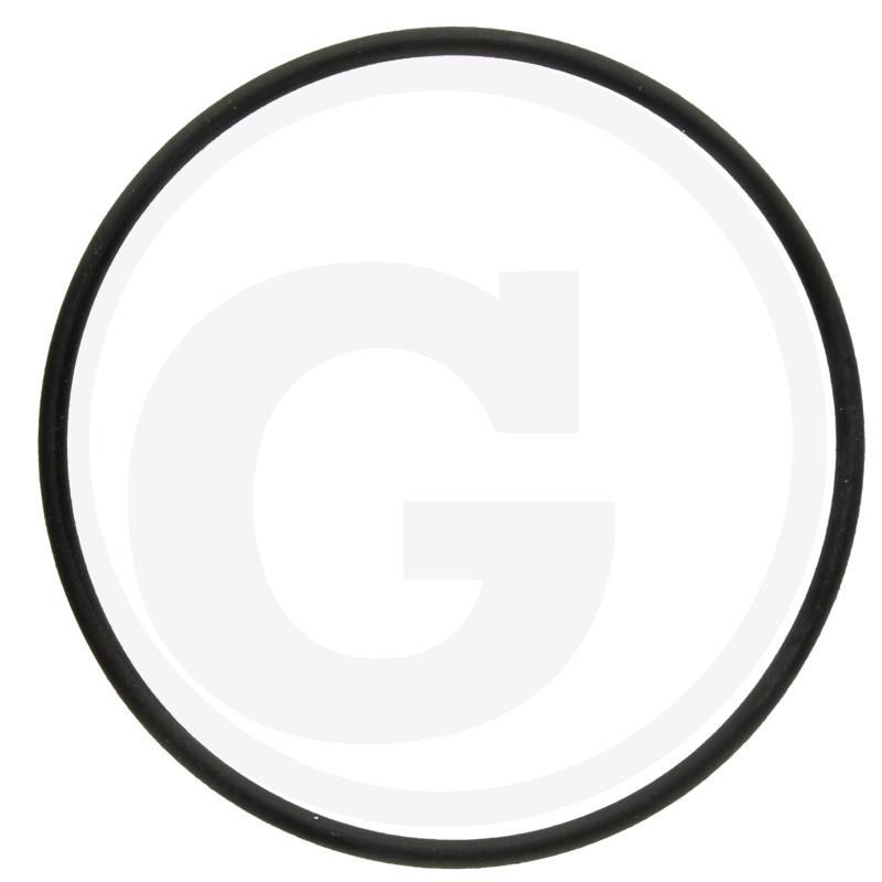 O-RING
