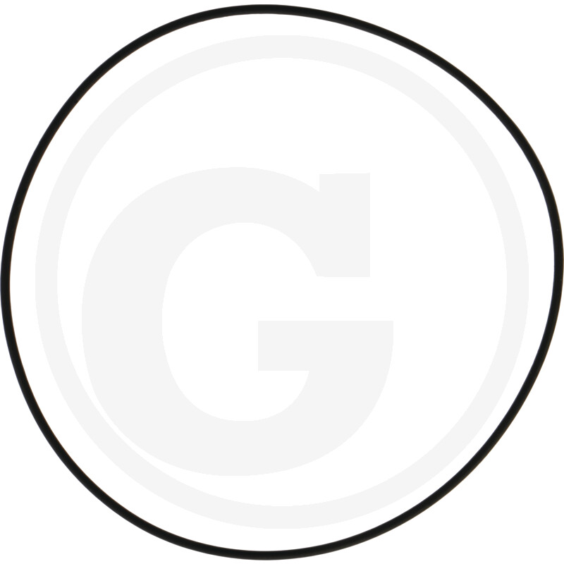 O-RING 197007700689533
