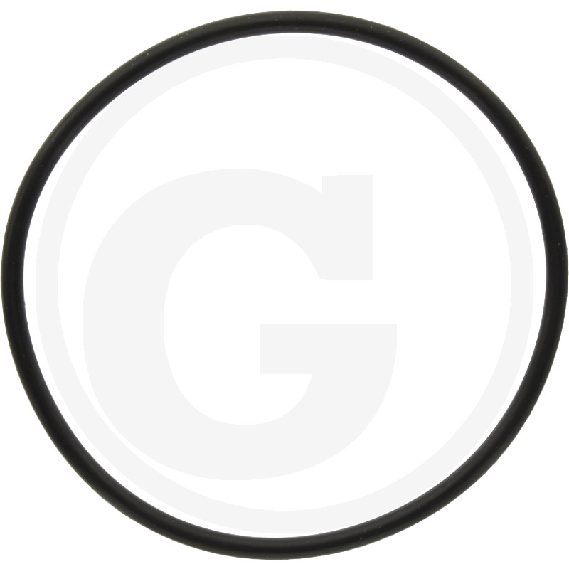 O-RING 205937501.0