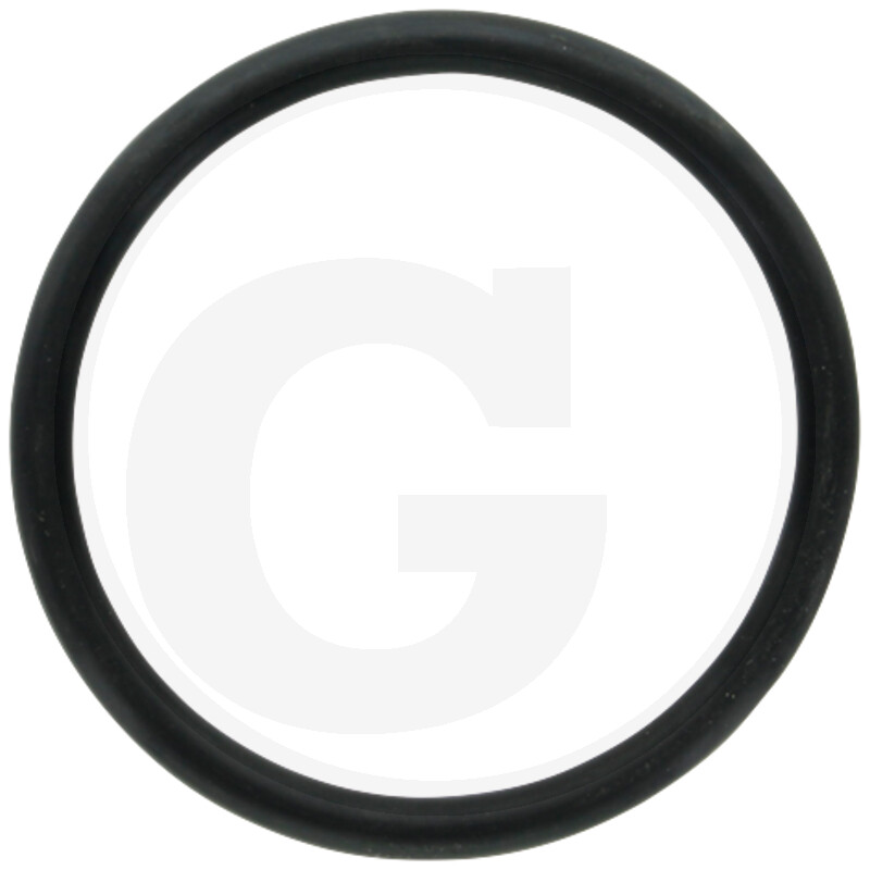 O-RING 205937511.0