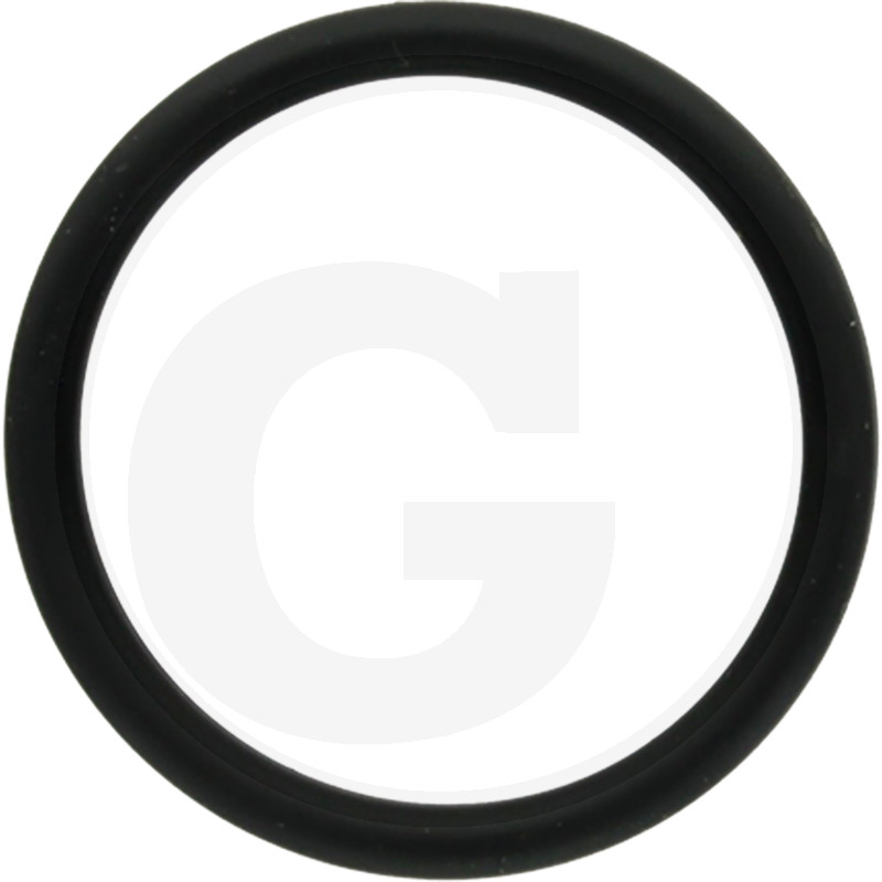 O-RING 205937523.1