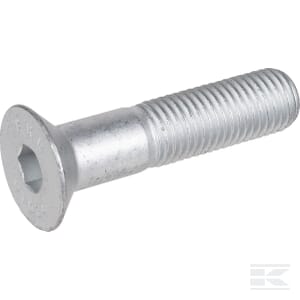 M16x70-10.9 3016148