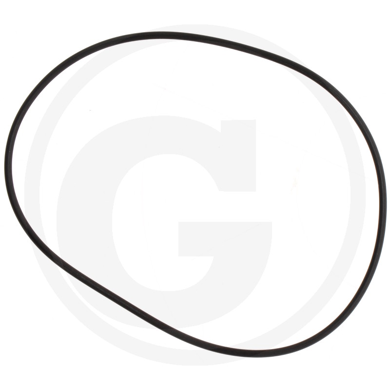 O-RING 3253220167R2