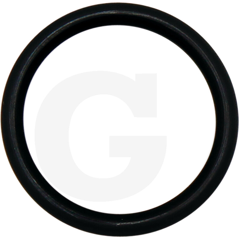 ORING 380120205