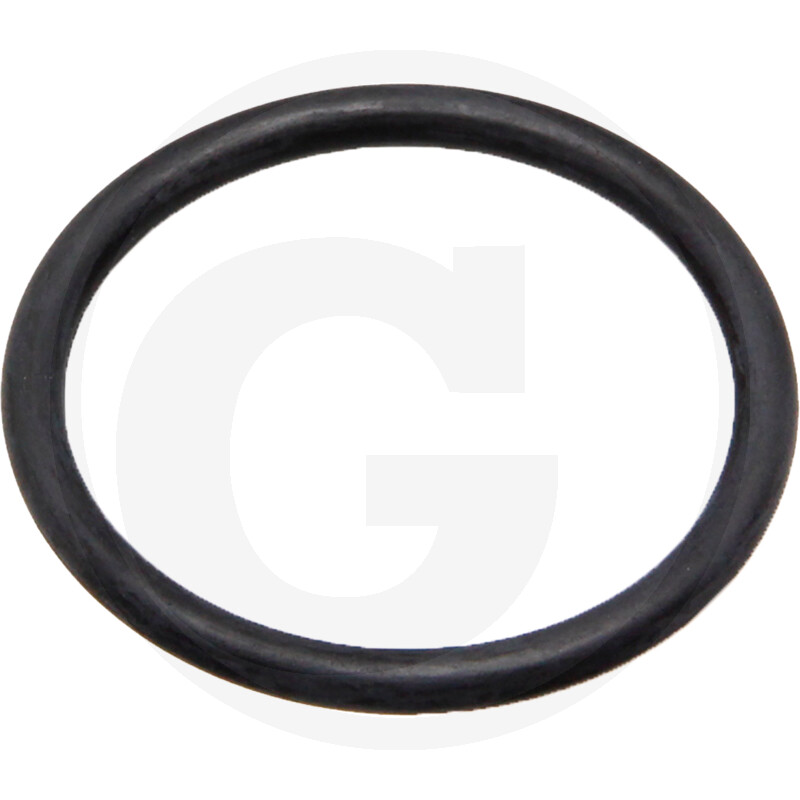 ORING 380120210