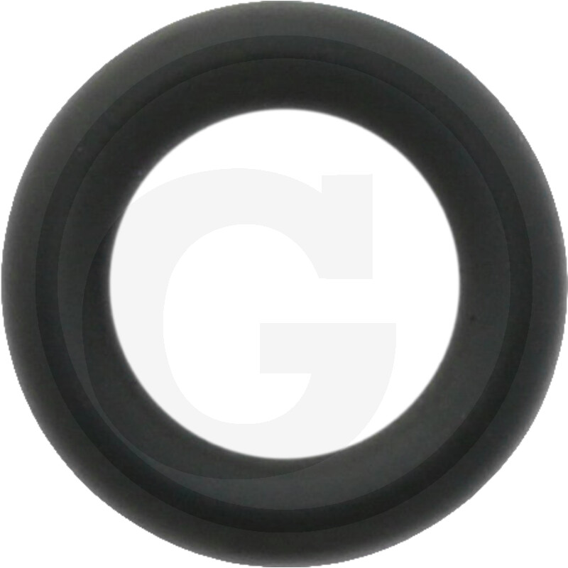 O-RING 38012564