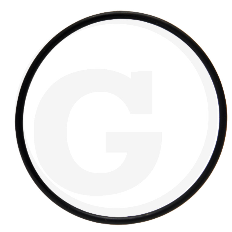 ORING 30.2 I 38019132