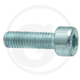 SURUB M10X30 CAP INBUS 485912146
